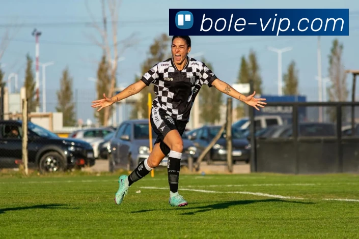 博乐体育VIPAPP 封面图